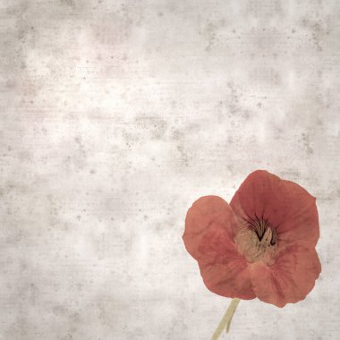 Tropeolum majus, bahçe nasturtiyumu ile eski tarz kağıt kaplama arka plan