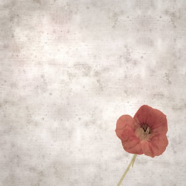 Tropeolum majus, bahçe nasturtiyumu ile eski tarz kağıt kaplama arka plan