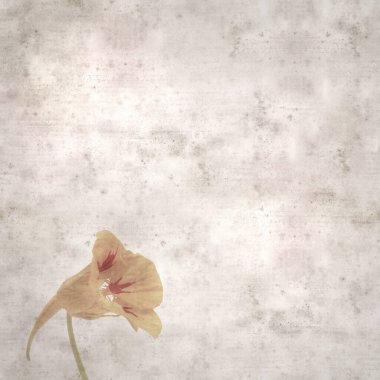 Tropeolum majus, bahçe nasturtiyumu ile eski tarz kağıt kaplama arka plan