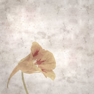 Tropeolum majus, bahçe nasturtiyumu ile eski tarz kağıt kaplama arka plan