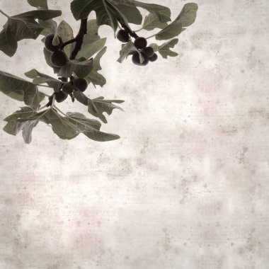 Frenlerde olgunlaşan incir meyvesi olan eski kağıt kaplamalı şık kare desenli arka plan