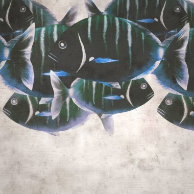 Diplodus sargus, sargo, yaygın beyaz deniz kabuğu suluboya arkaplanlı şık kare desenli eski kağıt arka plan