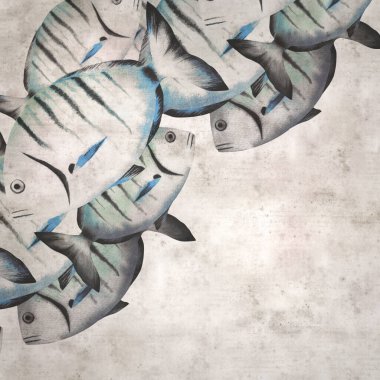 Diplodus sargus, sargo, yaygın beyaz deniz kabuğu suluboya arkaplanlı şık kare desenli eski kağıt arka plan