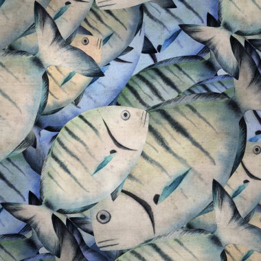 Diplodus sargus, sargo, yaygın beyaz deniz kabuğu suluboya arkaplanlı şık kare desenli eski kağıt arka plan