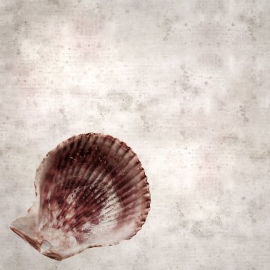 desenli eski kağıt arka plan, kare Talochlamys pusio, fan kuklası