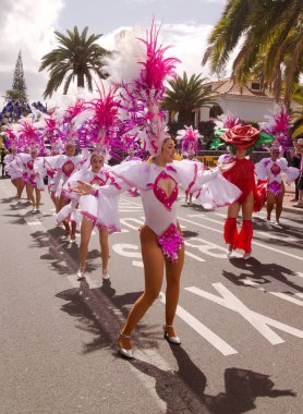 Las Palmas de Gran Canaria, İspanya - Mart 01 2025: Las Palmas sokaklarındaki pek çok karnaval töreninden biri