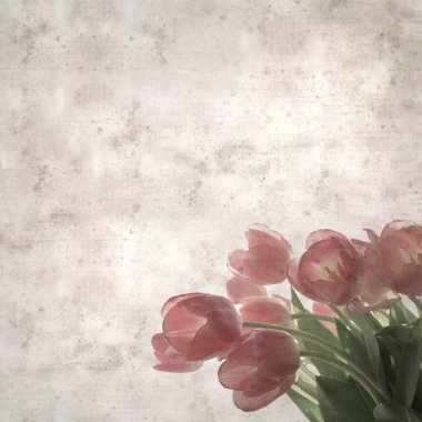 kare biçiminde eski dokulu kağıt arka planda yumuşak pembe lale buketi