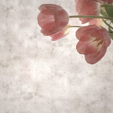 kare biçiminde eski dokulu kağıt arka planda yumuşak pembe lale buketi