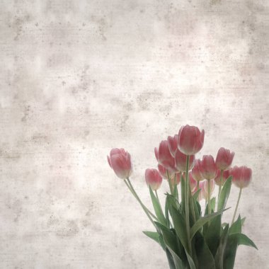 kare biçiminde eski dokulu kağıt arka planda yumuşak pembe lale buketi