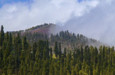 Montanon Negro, Gran Canaria, Kanarya Adaları, İspanya