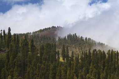 Montanon Negro, Gran Canaria, Kanarya Adaları, İspanya