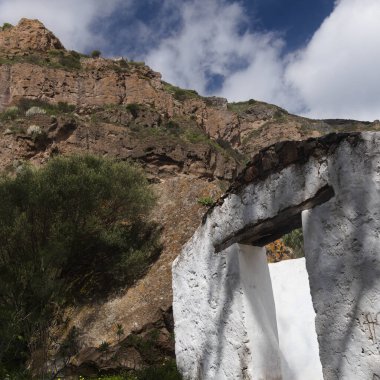 Caldera de Bandama, Büyük Kanarya
