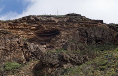 Caldera de Bandama, Büyük Kanarya