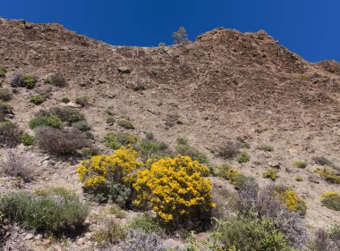 Gran Canaria, adanın merkezi manzarası, Las Cumbres, ie The Summits, Roque Nublo yolu boyunca uzanan manzaralar