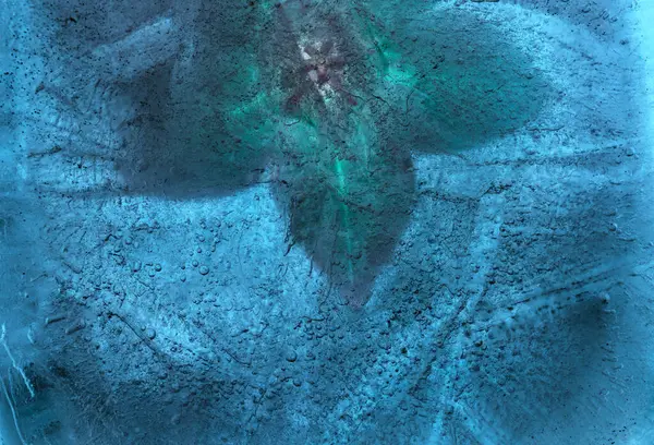 Bir buz bloğu içinde donmuş bitkiler, hava kabarcığı dokusu 