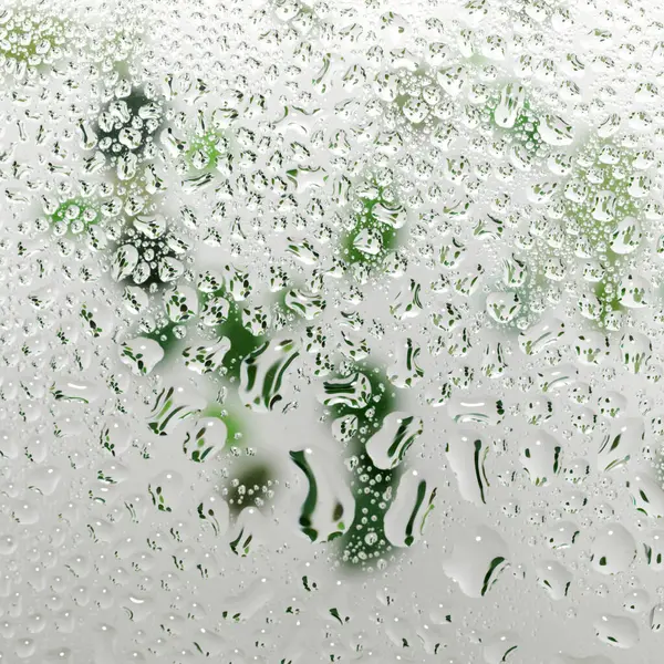 Şeffaf cam yüzeyinde küçük su damlacıkları var.