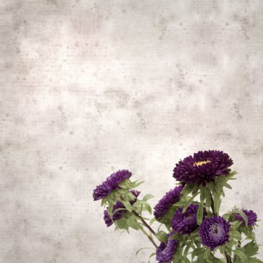 Kare biçiminde eski dokulu kağıt arka planda sonbahar Aster