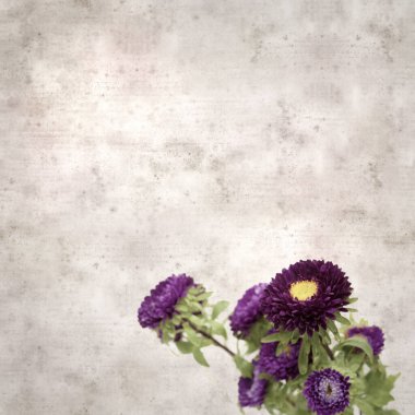 Kare biçiminde eski dokulu kağıt arka planda sonbahar Aster