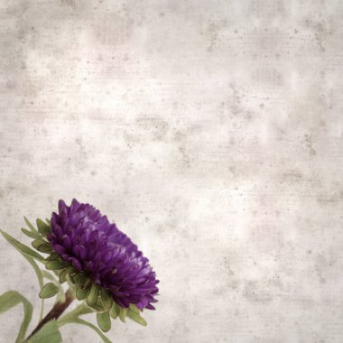 Kare biçiminde eski dokulu kağıt arka planda sonbahar Aster