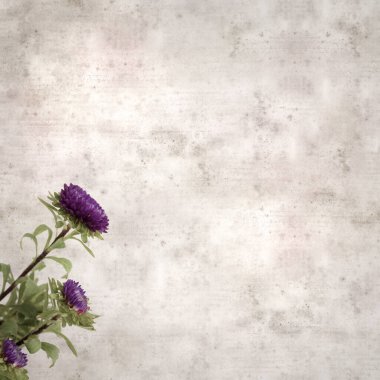Kare biçiminde eski dokulu kağıt arka planda sonbahar Aster