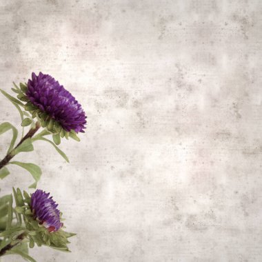 Kare biçiminde eski dokulu kağıt arka planda sonbahar Aster