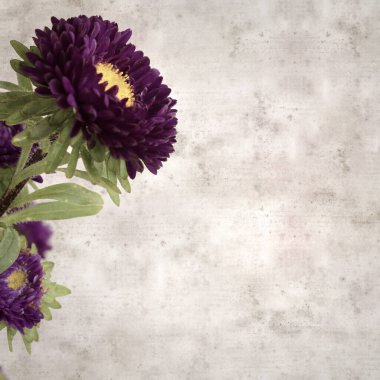 Kare biçiminde eski dokulu kağıt arka planda sonbahar Aster