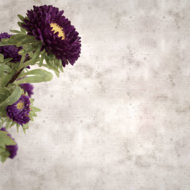 Kare biçiminde eski dokulu kağıt arka planda sonbahar Aster