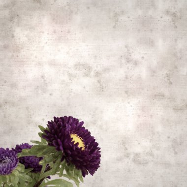 Kare biçiminde eski dokulu kağıt arka planda sonbahar Aster