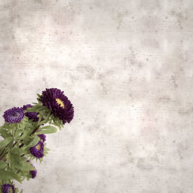 Kare biçiminde eski dokulu kağıt arka planda sonbahar Aster