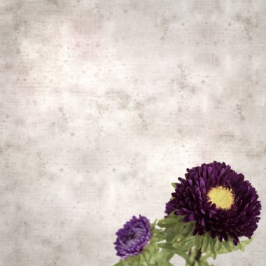 Kare biçiminde eski dokulu kağıt arka planda sonbahar Aster