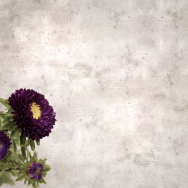 Kare biçiminde eski dokulu kağıt arka planda sonbahar Aster