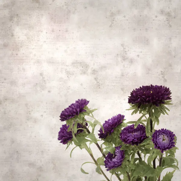 Kare biçiminde eski dokulu kağıt arka planda sonbahar Aster