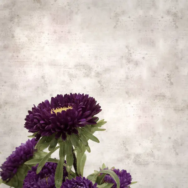 Kare biçiminde eski dokulu kağıt arka planda sonbahar Aster