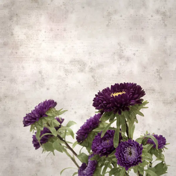 Kare biçiminde eski dokulu kağıt arka planda sonbahar Aster