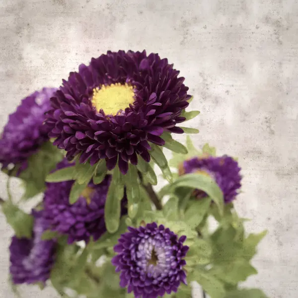 Kare biçiminde eski dokulu kağıt arka planda sonbahar Aster