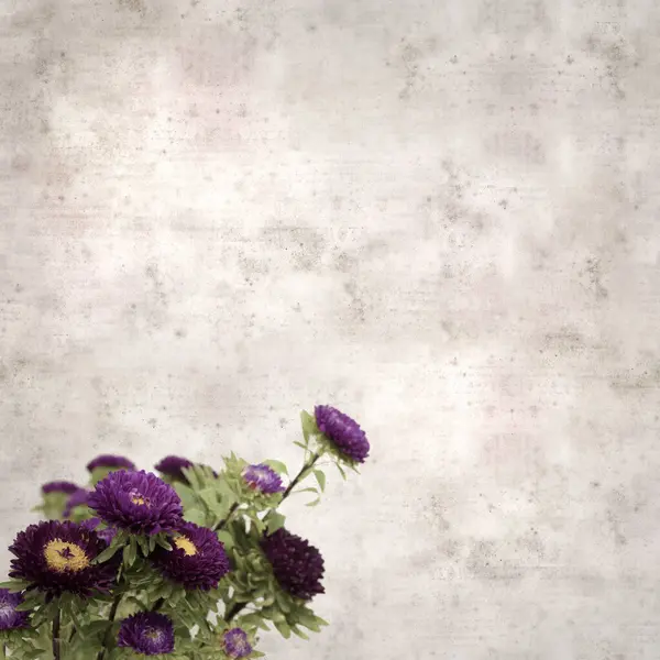 Kare biçiminde eski dokulu kağıt arka planda sonbahar Aster