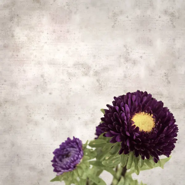 Kare biçiminde eski dokulu kağıt arka planda sonbahar Aster