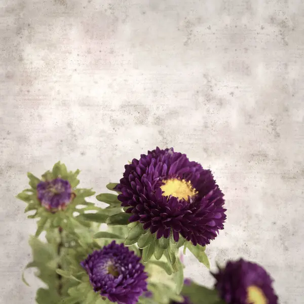 Kare biçiminde eski dokulu kağıt arka planda sonbahar Aster