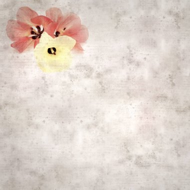 Hibiscus tiliaceus çiçekleri, sahil ambargosu içeren eski ve şık kağıt kaplama arka plan