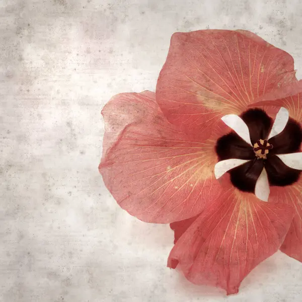 Hibiscus tiliaceus çiçekleri, sahil ambargosu içeren eski ve şık kağıt kaplama arka plan