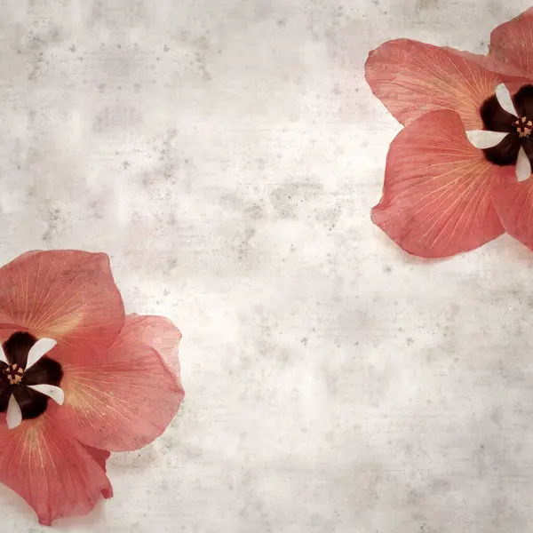 Hibiscus tiliaceus çiçekleri, sahil ambargosu içeren eski ve şık kağıt kaplama arka plan