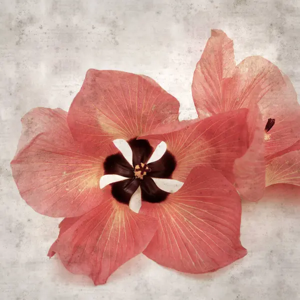 Hibiscus tiliaceus çiçekleri, sahil ambargosu içeren eski ve şık kağıt kaplama arka plan
