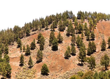 Büyük Kanarya, San Mateo belediyesinin manzarası, turuncu volkanik çakıl dağı Montana del Cosdeso