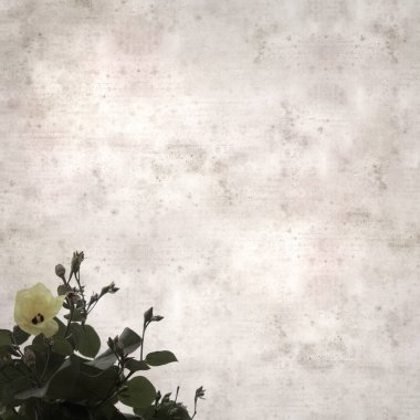 Hibiscus tiliaceus çiçekleri, sahil ambargosu içeren eski ve şık kağıt kaplama arka plan
