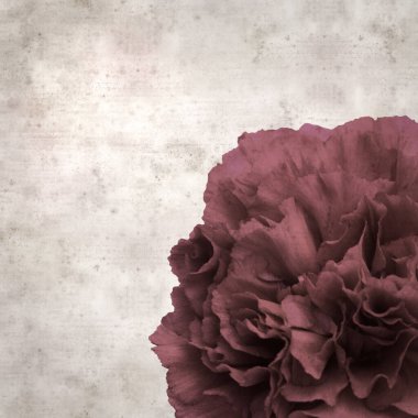 Melez karanfil çiçekleri ile kare biçiminde eski dokulu kağıt arka plan 