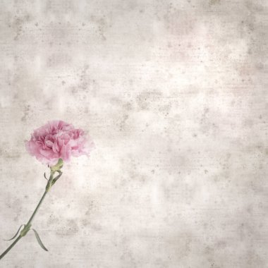 Melez karanfil çiçekleri ile kare biçiminde eski dokulu kağıt arka plan 