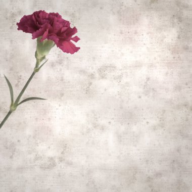 Melez karanfil çiçekleri ile kare biçiminde eski dokulu kağıt arka plan 