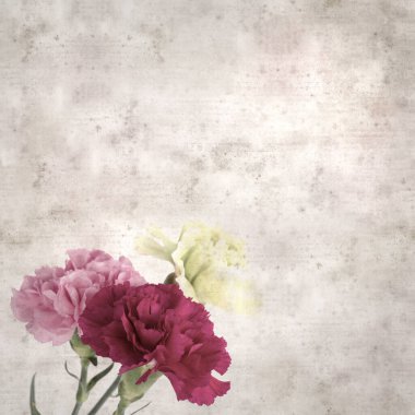 Melez karanfil çiçekleri ile kare biçiminde eski dokulu kağıt arka plan 
