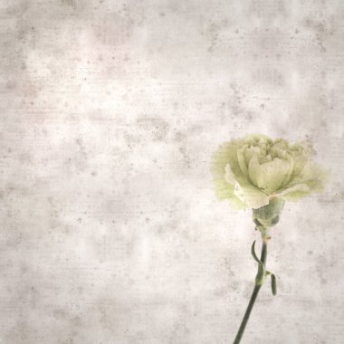 Melez karanfil çiçekleri ile kare biçiminde eski dokulu kağıt arka plan 