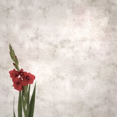 desenli eski kağıt arka plan, kare, koyu kırmızı gladyatör, kılıç Lily 